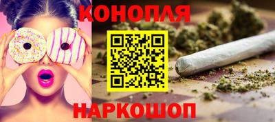 дмт Пенза