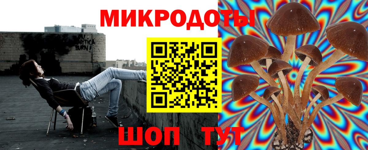 Галлюциногенные грибы Psilocybine cubensis Симферополь